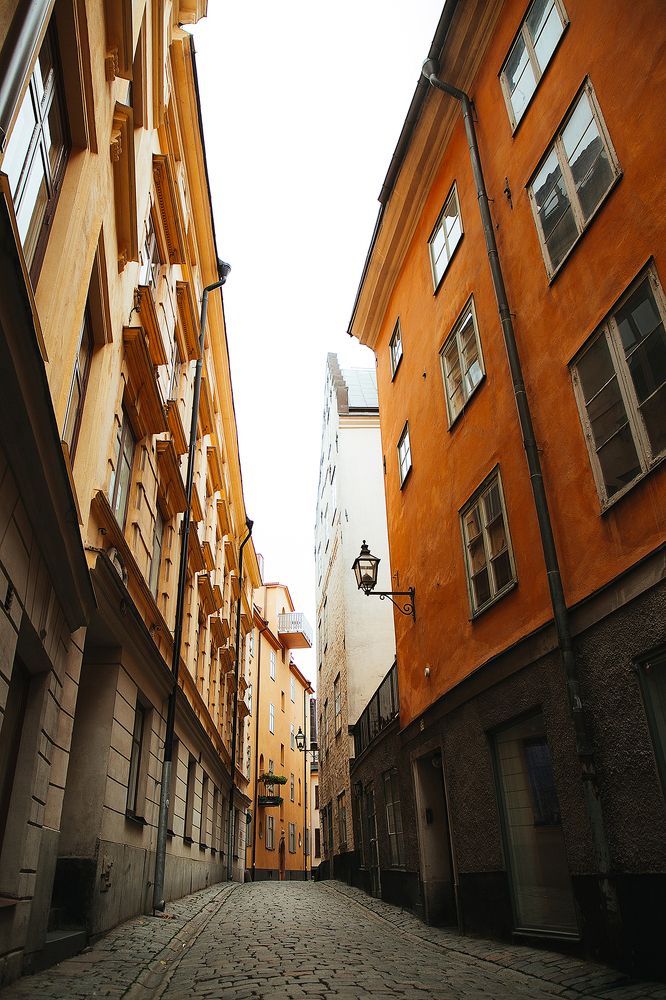 Photograph by Ксения Тишкова