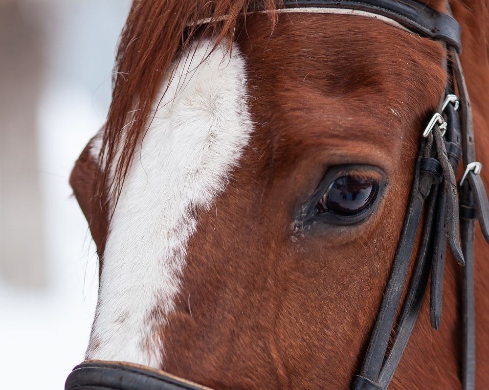 Photograph by Марина Комина