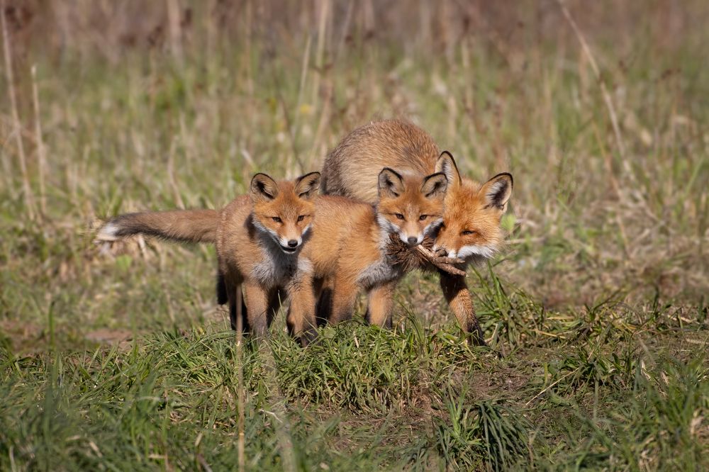 Photograph by Алексей Петров