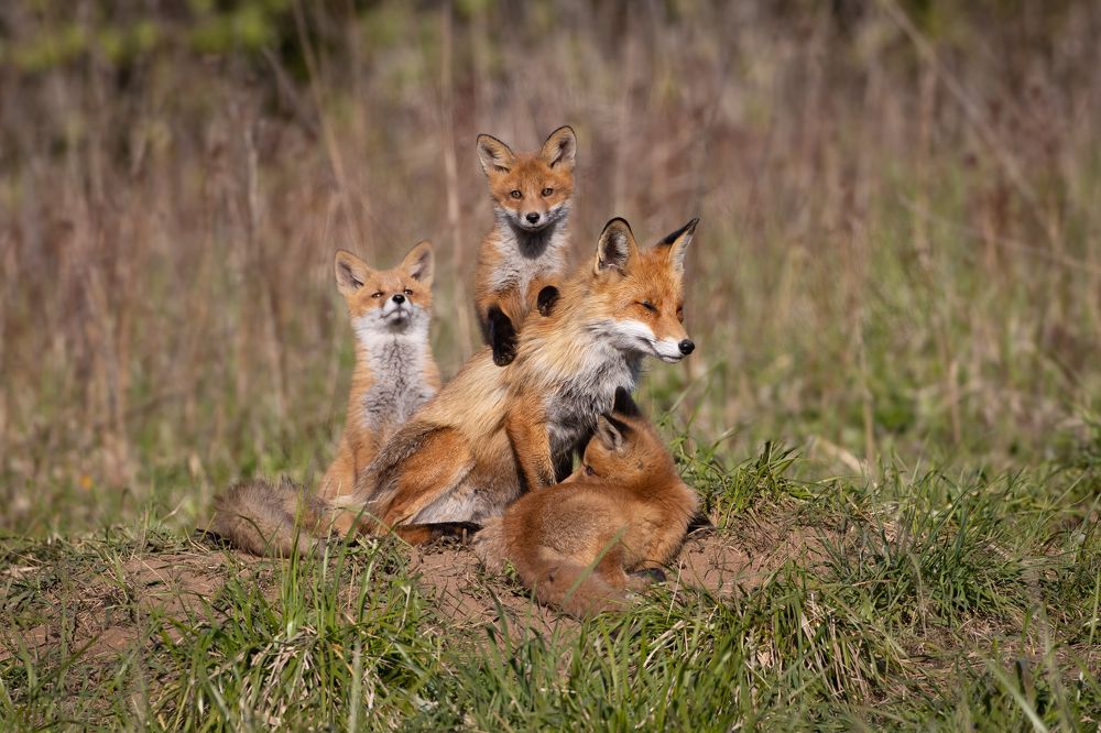 Photograph by Алексей Петров