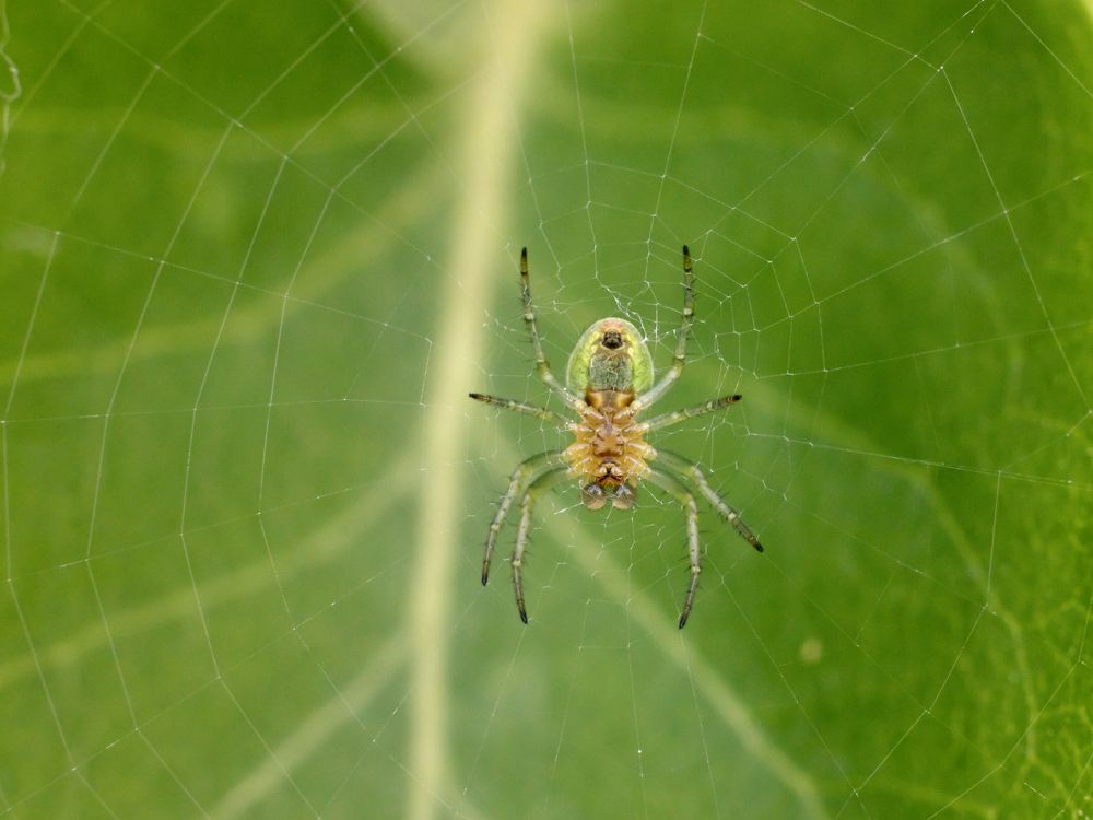 Photograph by Антон Мироненко-Маренков