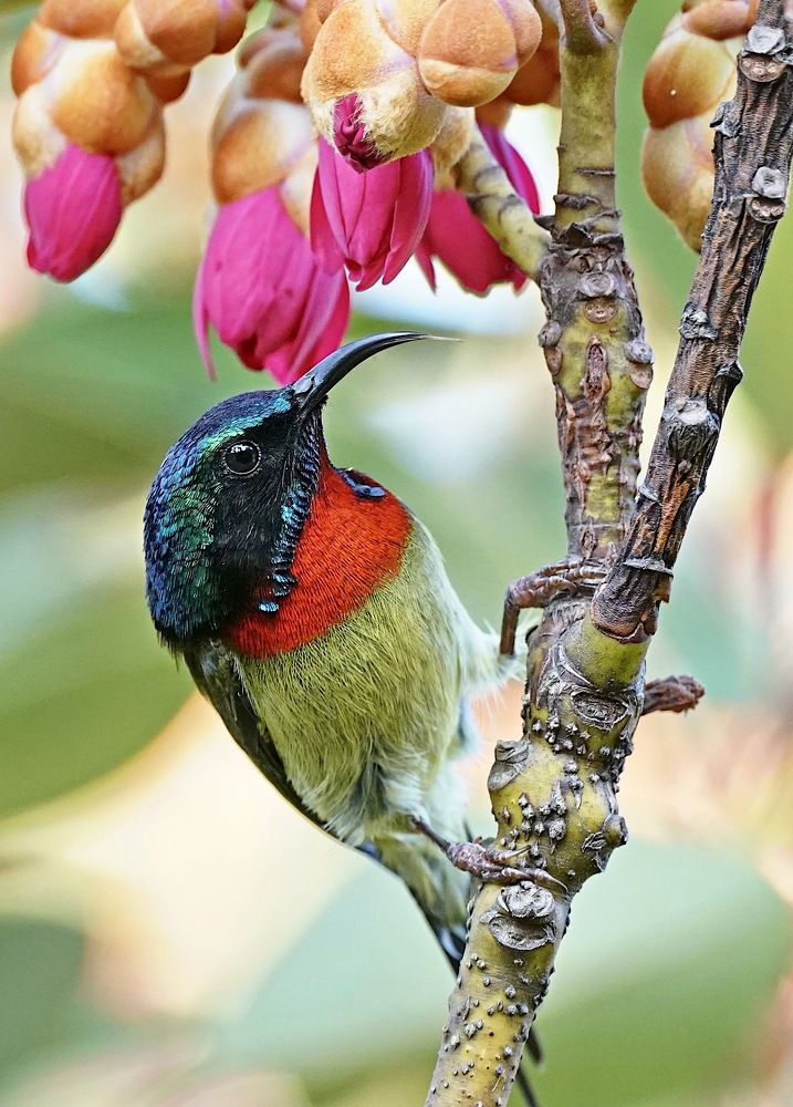 Photograph by Kan Chung Wong