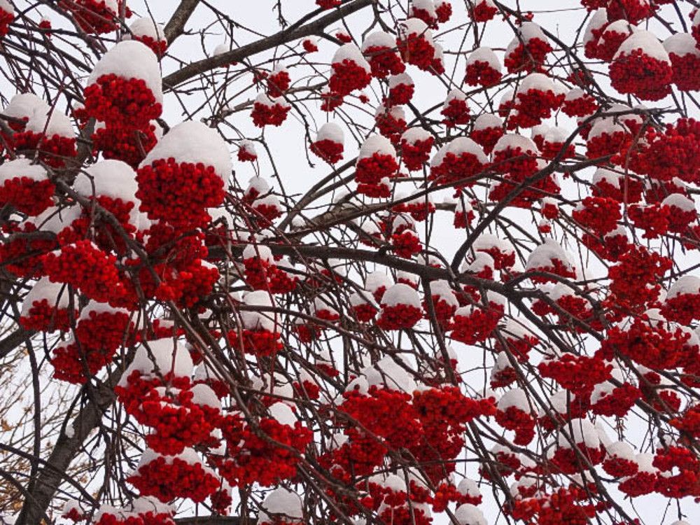 Photograph by Анжелика Трошина