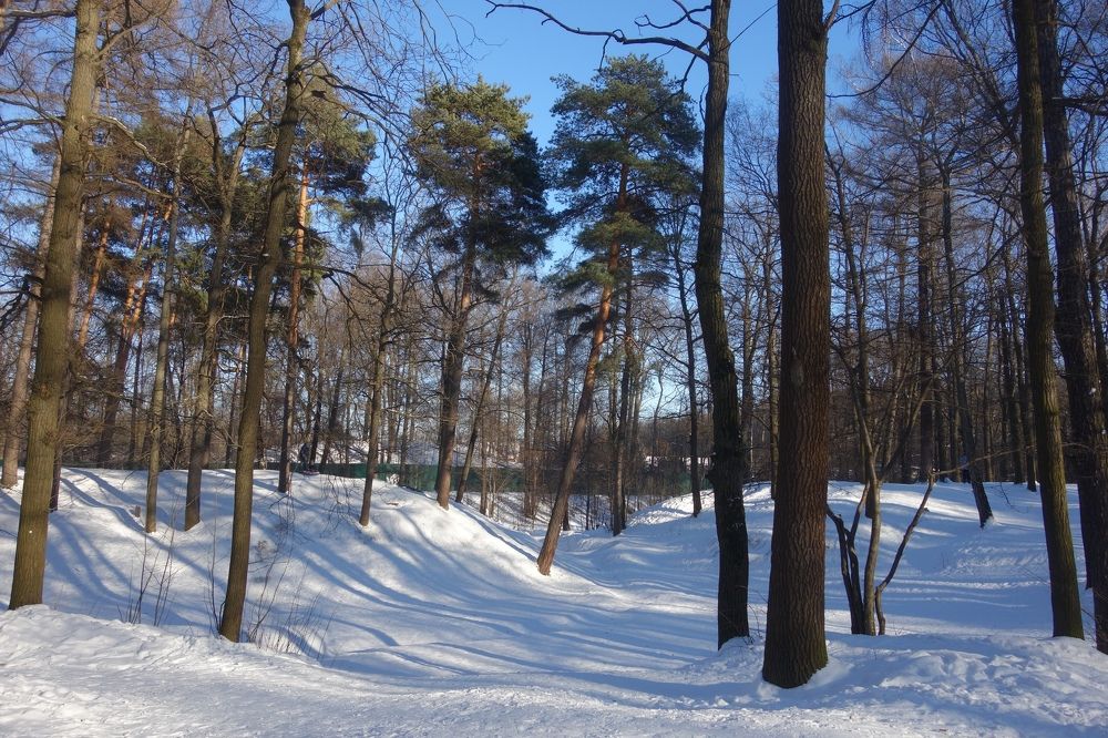 Photograph by Дарья Гришина