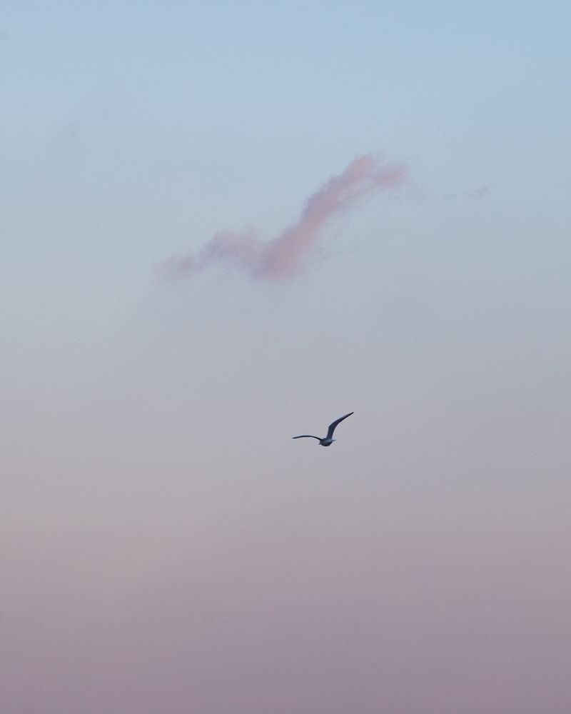 Photograph by Саша Колода