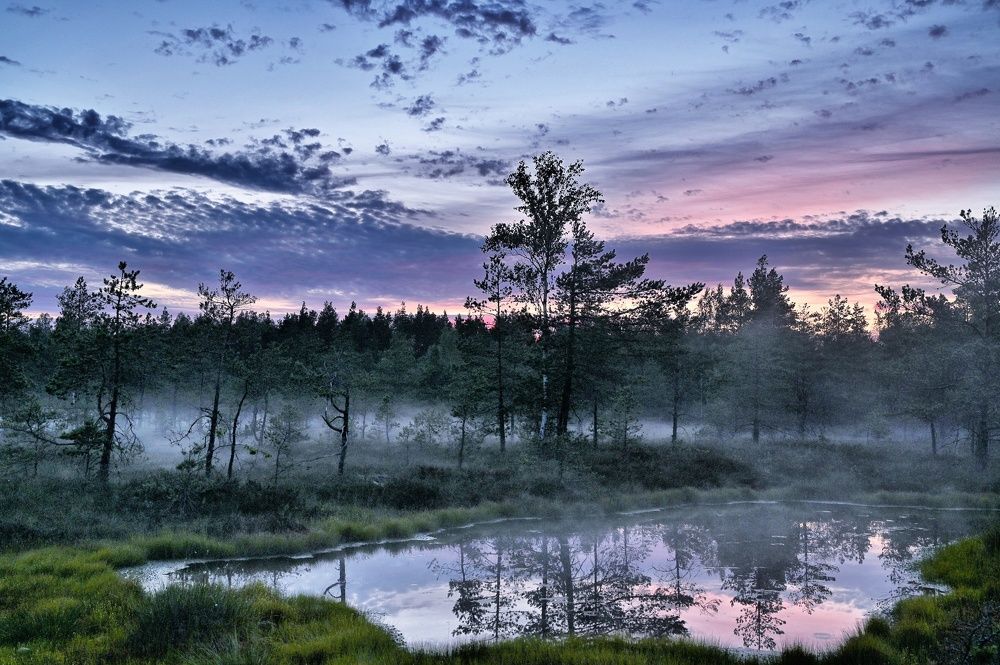 Photograph by Ija Reiman