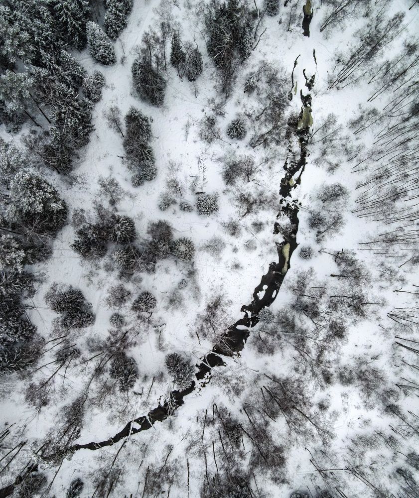 Photograph by Анастасия Юсова