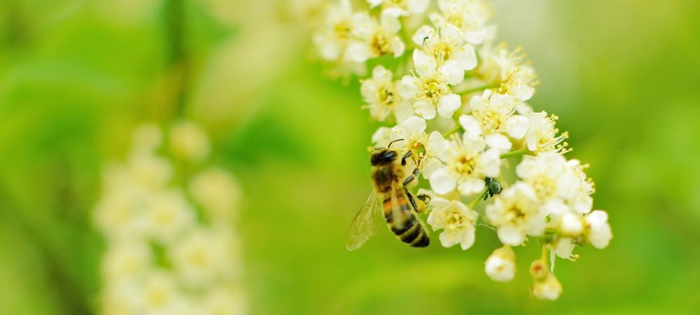 Photograph by Andrey