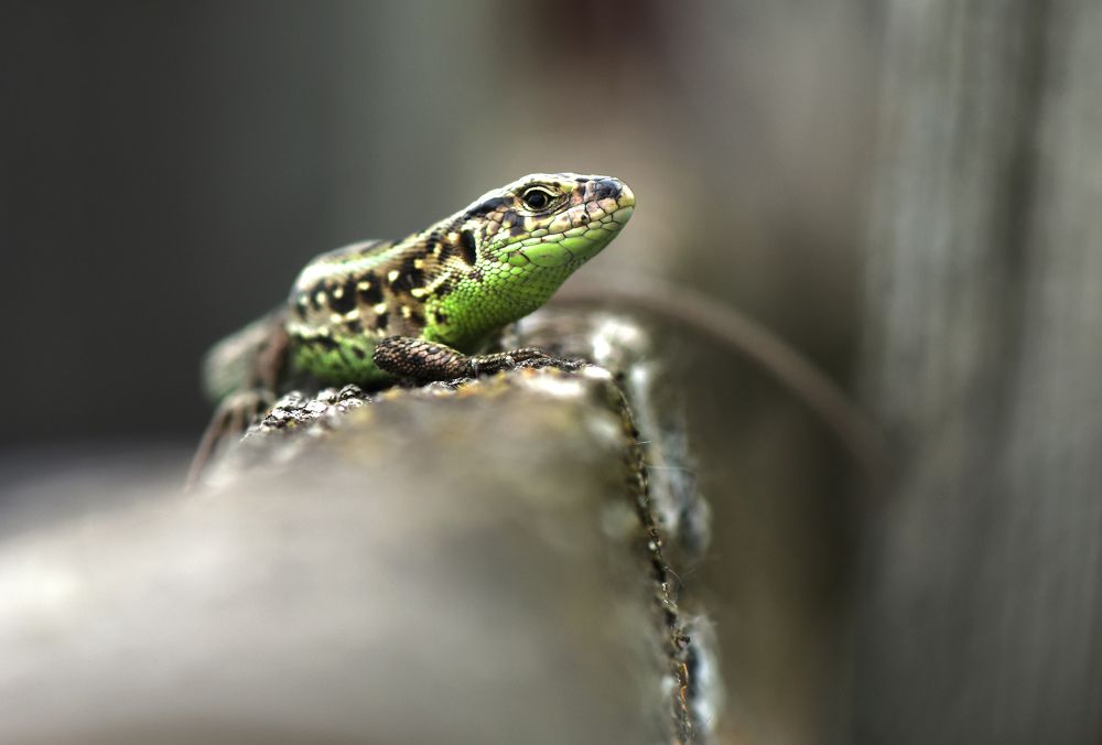 Photograph by Макеев Алексей