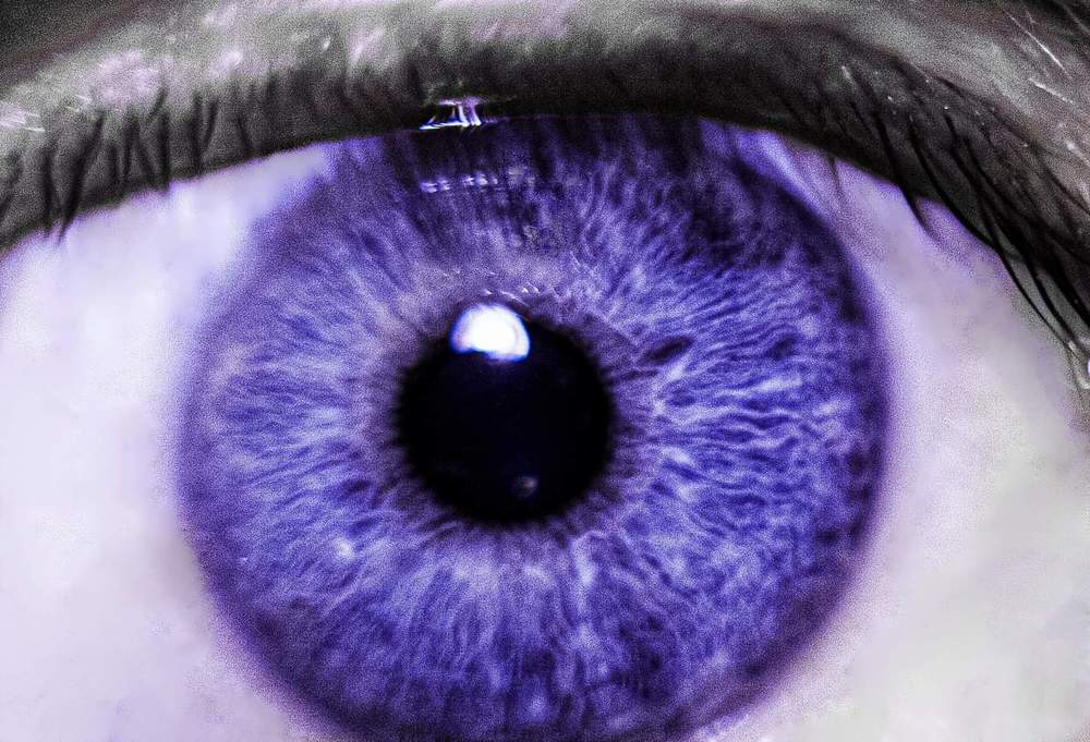 Photograph by Алексей Стрижаков