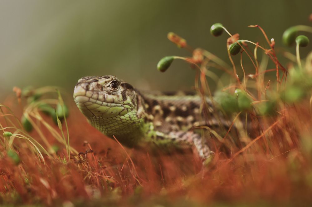 Photograph by Макеев Алексей