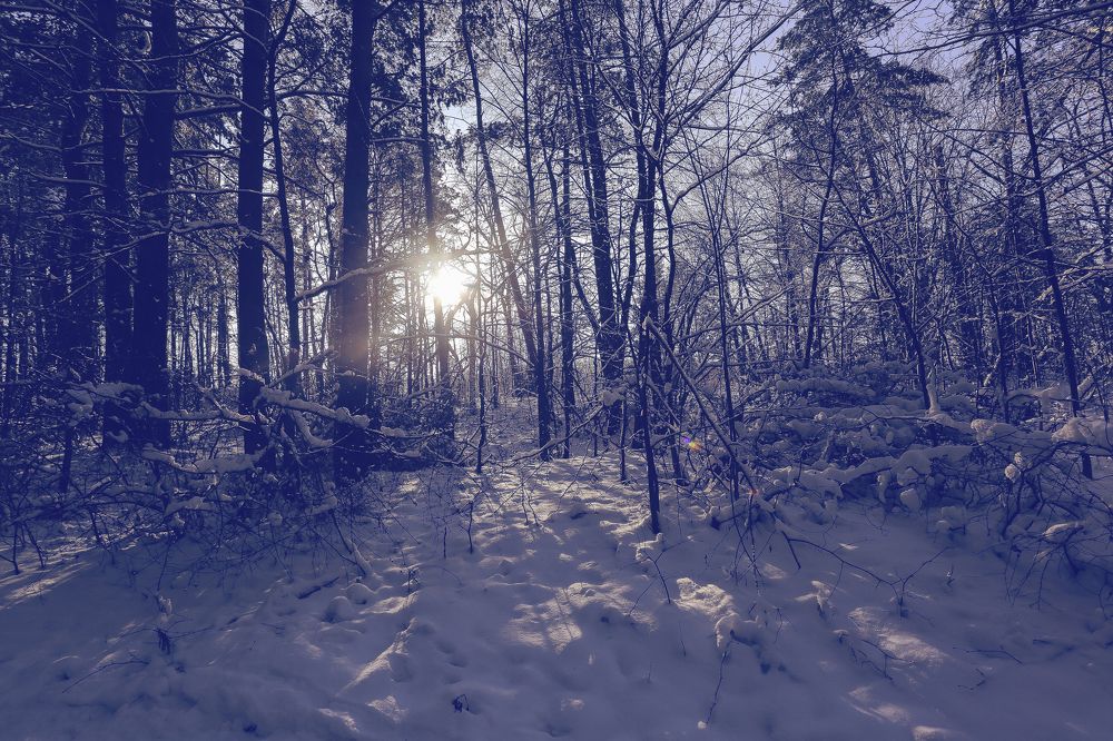 Фотография автора Jelena Rizulja