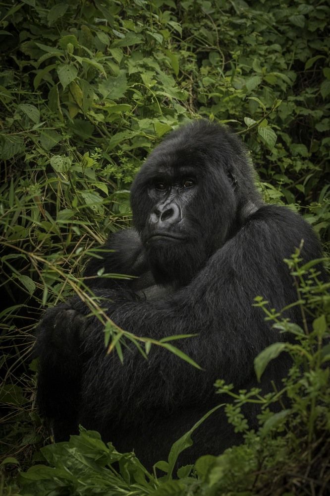 Photograph by Ricardo Ferreira