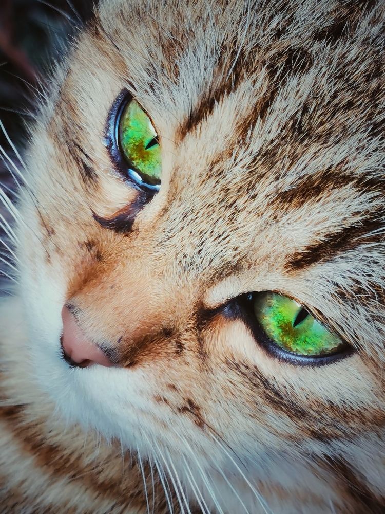 Photograph by Antonina Marchenko