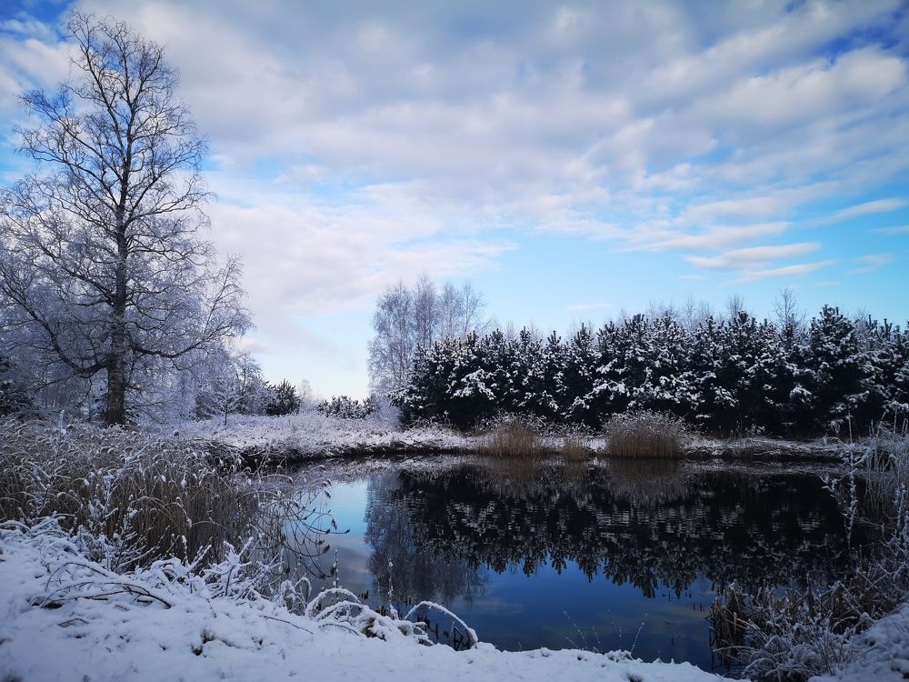 Photograph by Инга Энгель