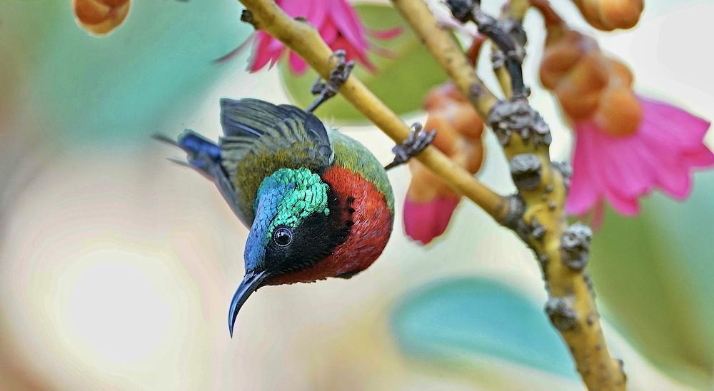 Photograph by Kan Chung Wong