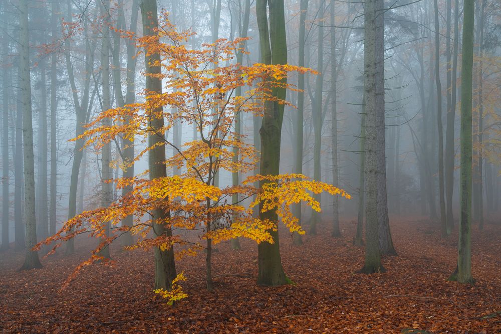 Photograph by Jan Miracky