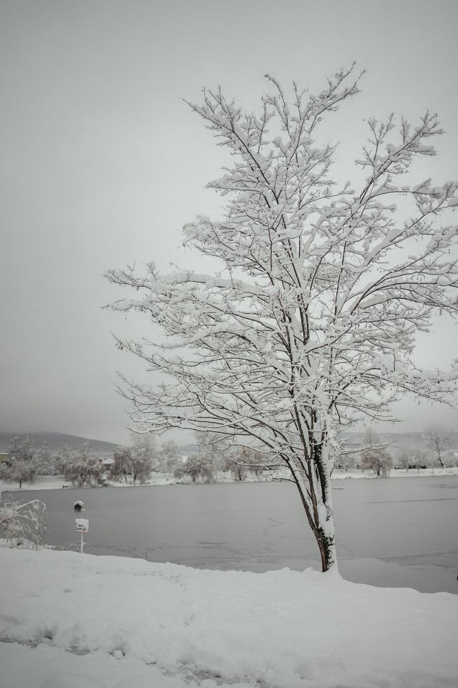 Photograph by Анна Дамер