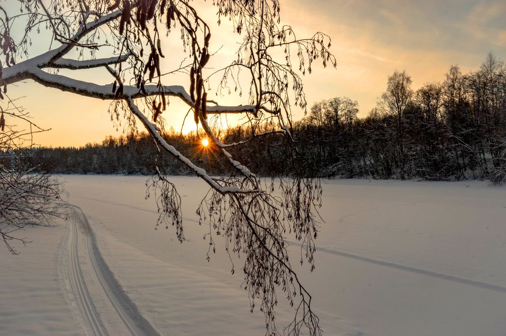 Photograph by Олег Менакер