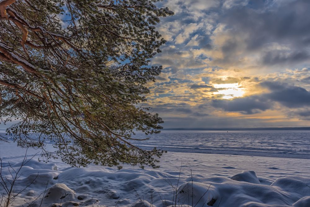 Photograph by Анна Кривицкая