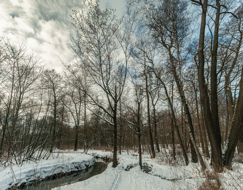Photograph by 