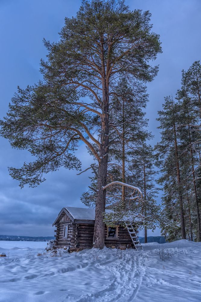 Photograph by Анна Кривицкая