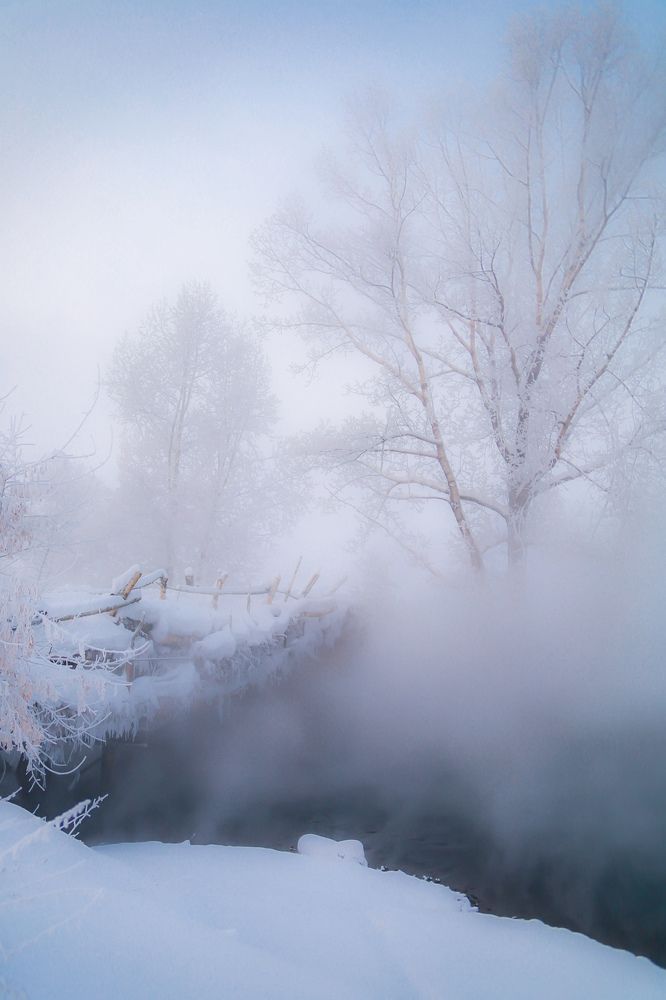 Photograph by Ксения Моськина