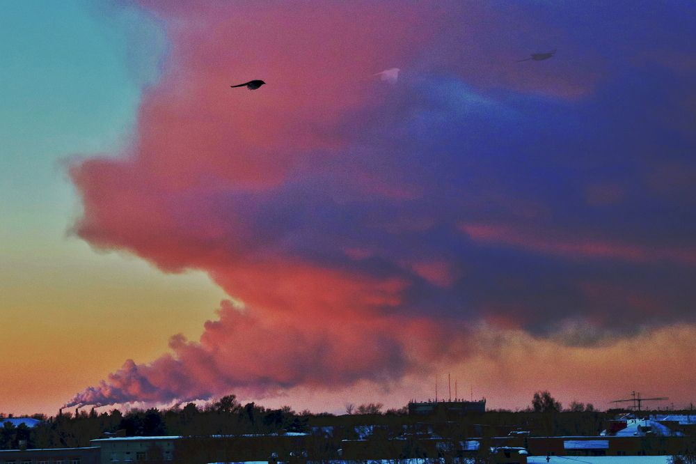 Photograph by игорь редько