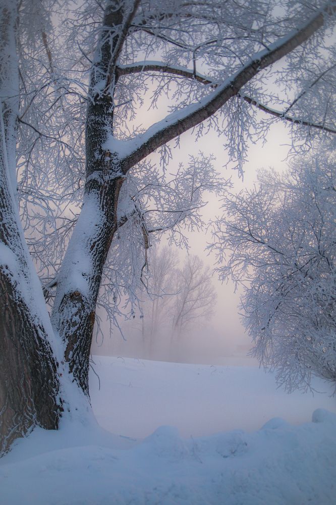 Photograph by Ксения Моськина