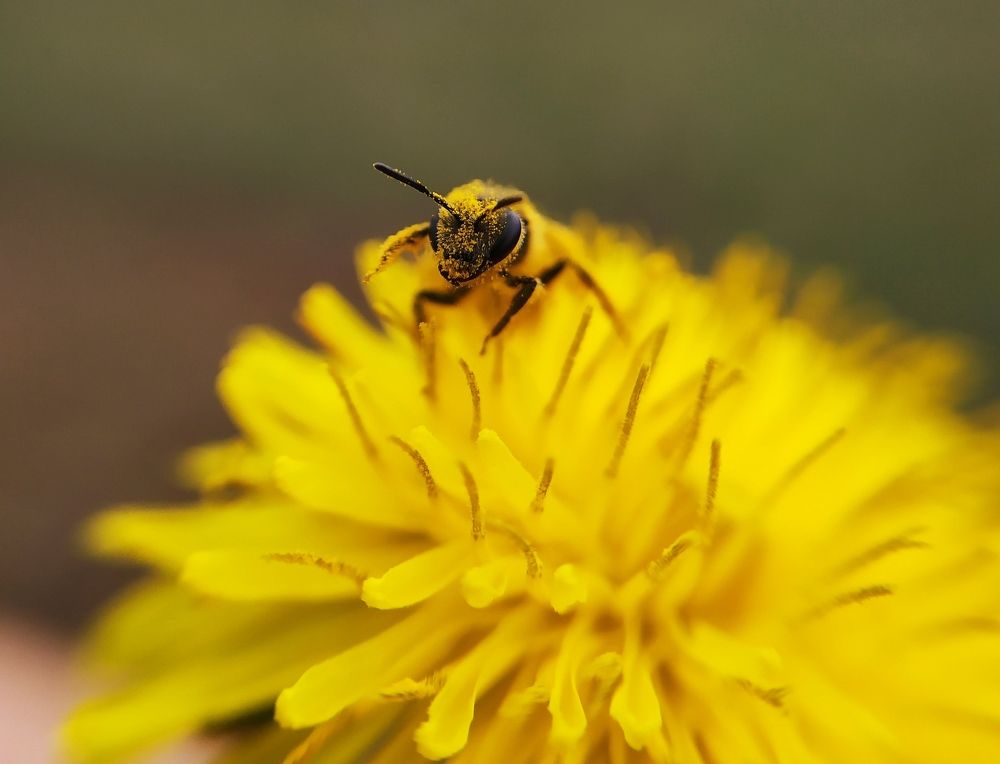 Photograph by Дина Горбачёва