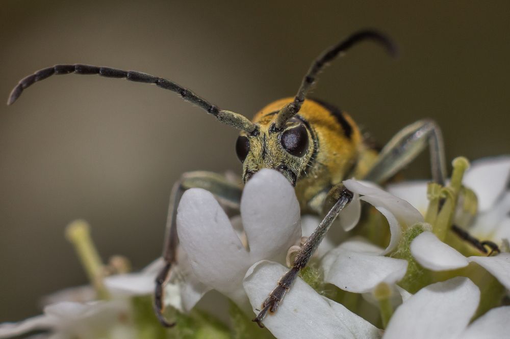 Photograph by Дина Горбачёва