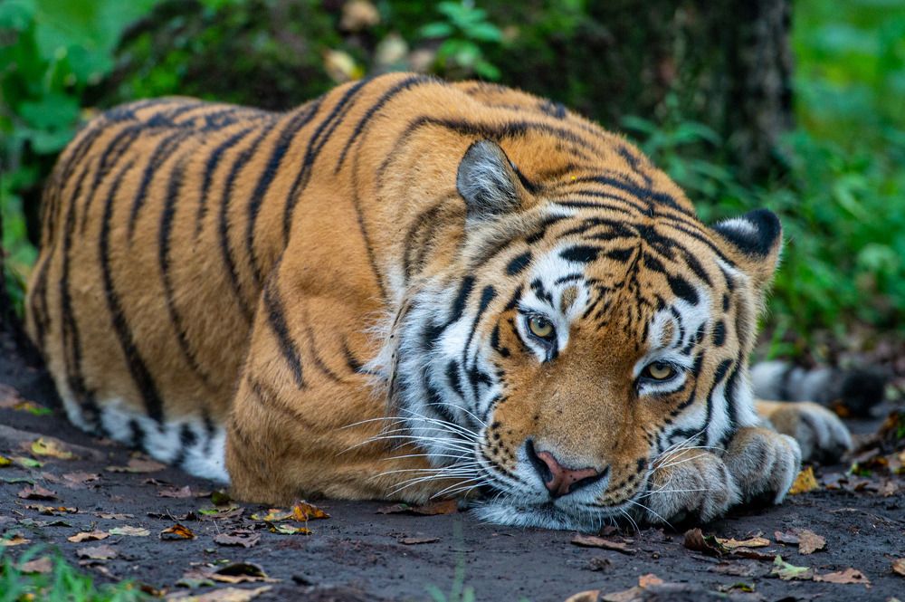 Photograph by Герман