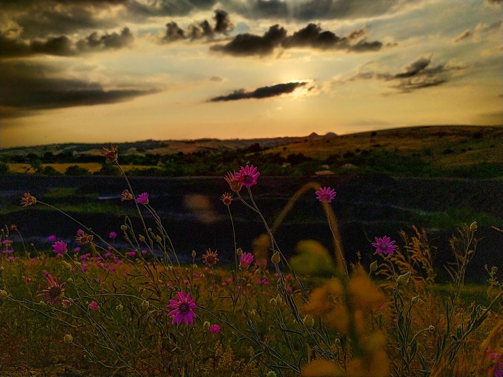 Photograph by Дина Горбачёва