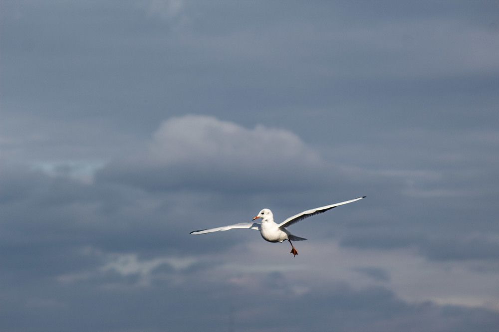 Photograph by Elena Khalizova