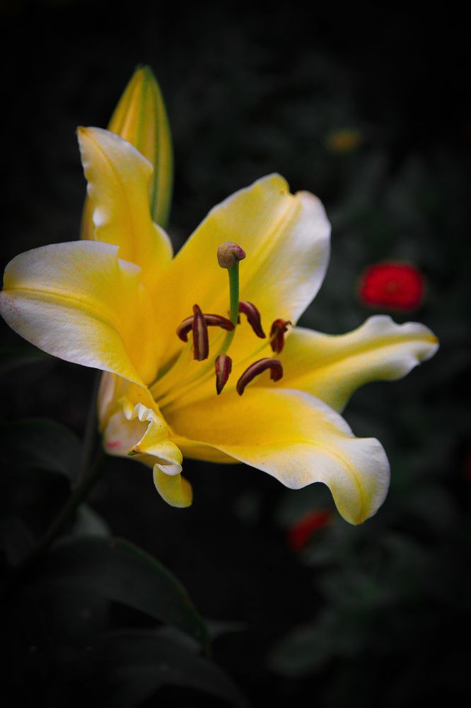 Photograph by Сергей Семенов