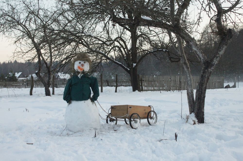 Приключения Снеговика в деревне