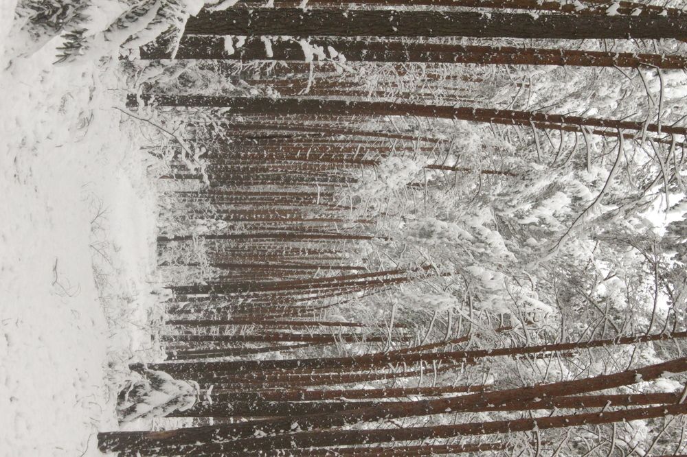 Photograph by Виктория Белоградова