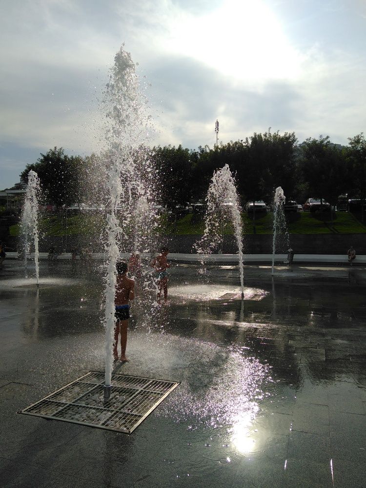 Photo #5640711