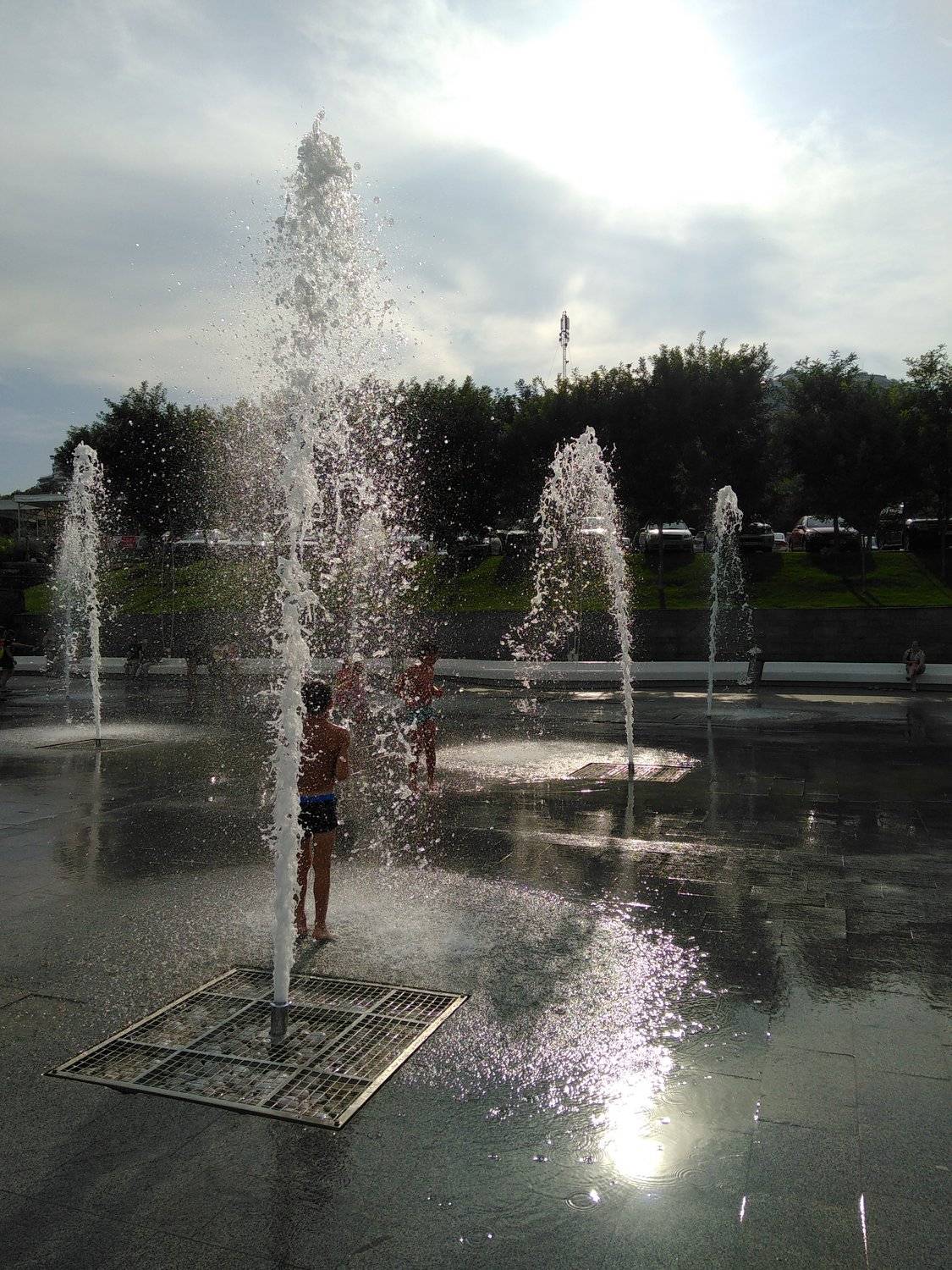 Photo #5640711
