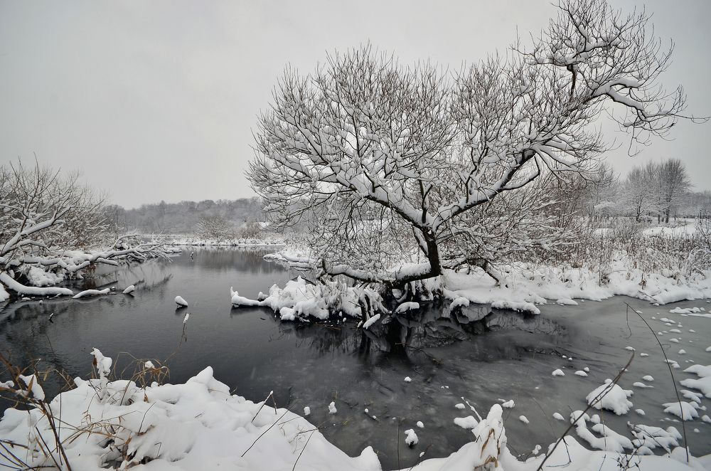 Фотография автора Антип