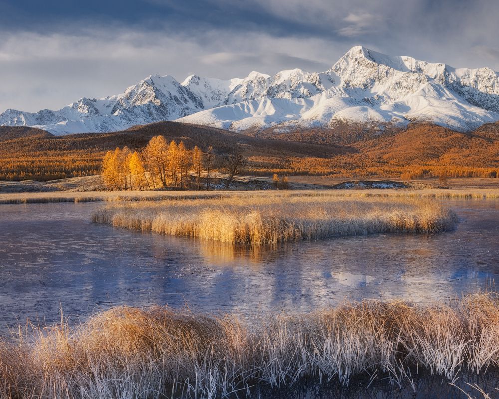Фотография автора Дмитрий Медянцев
