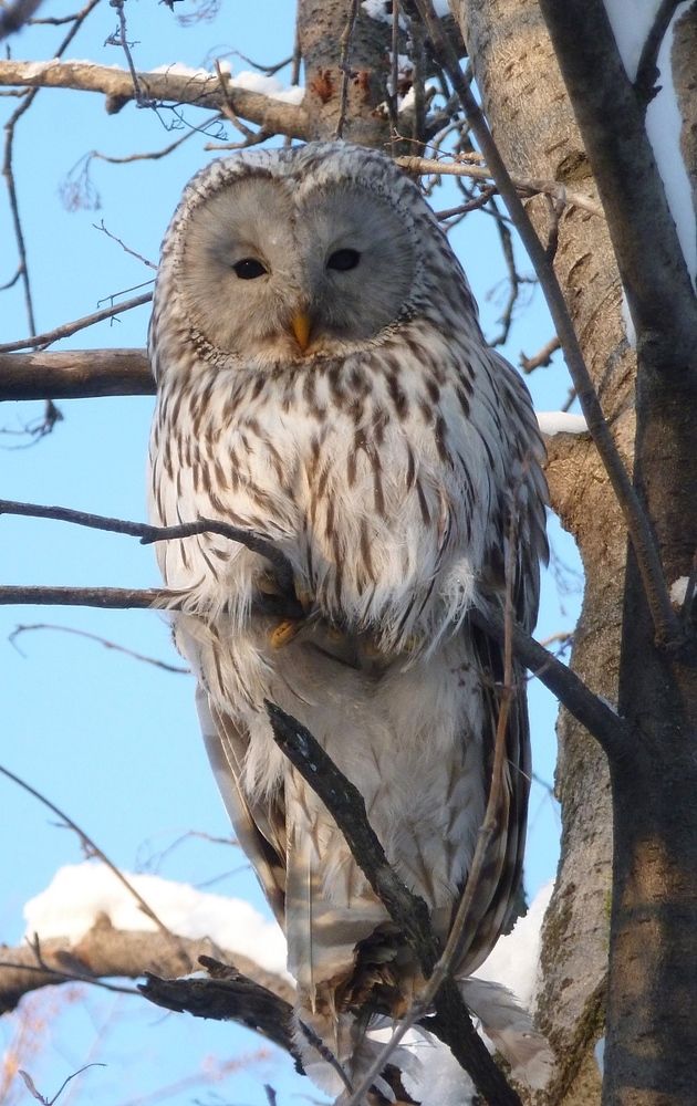 Photograph by Владислав Завальнюк