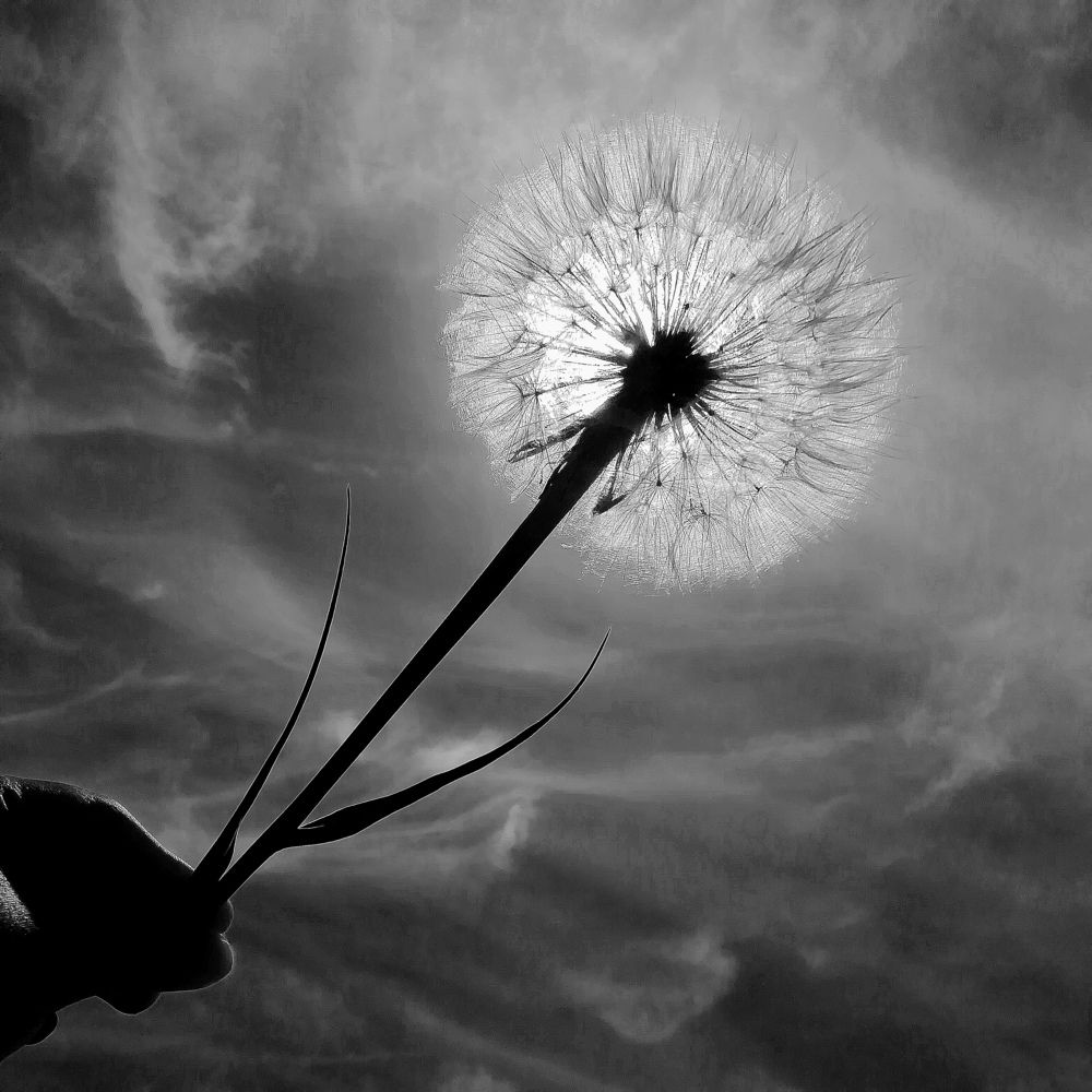 Photograph by Жанерке Хайбулда