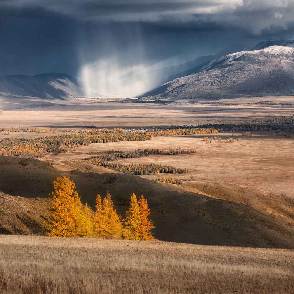 Фотография автора Дмитрий Медянцев