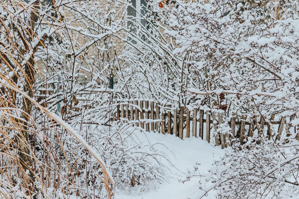 Фотография автора Daria CappuccinKo