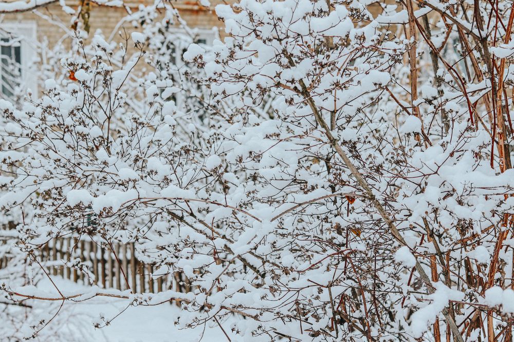 Фотография автора Daria CappuccinKo