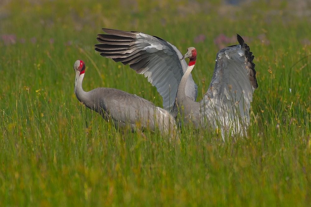 Displaying love  is an art ......