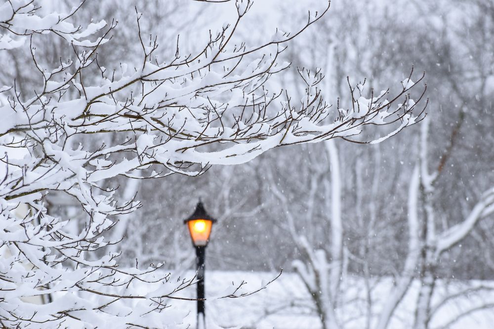 Photograph by Gargee Chowdhury