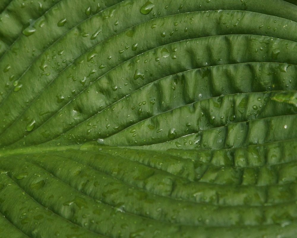 Photograph by Мария Самоловова