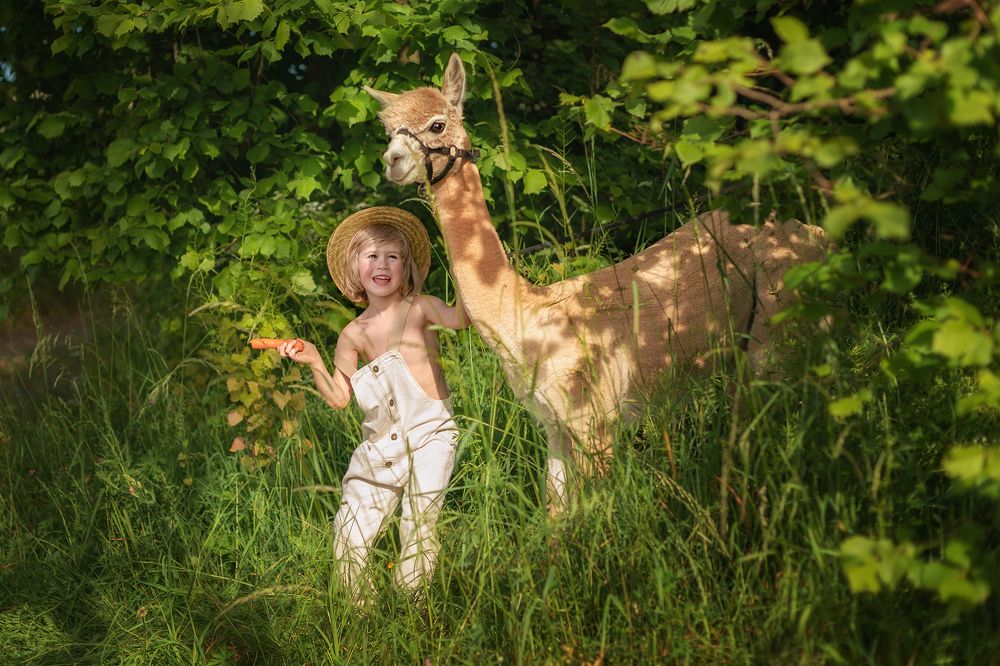 Photograph by Екатерина Шефер